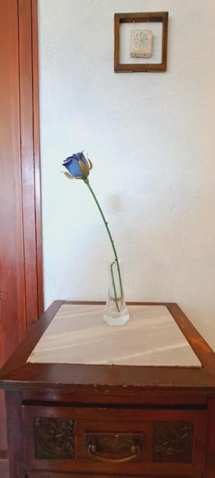 Odeonhouse - Catania - Parking Included Apartman Kültér fotó